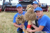 Успешно завершена уборочная страда в Октябрьском районе Гомельской области