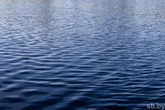 В Дятловском районе девятиклассница спасла ребенка из воды