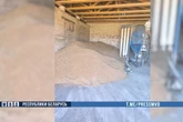 МВД: в Осиповичском районе из-за халатности директора на одном из сельхозпредприятий произошел падеж КРС