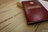 Двум жителям Мозыря вынесен приговор за участие в мошеннических схемах в качестве «дроповодов»