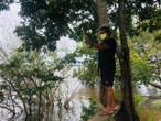 Projeto promove inclusão digital em áreas remotas da Amazônia