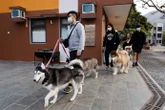 BRF anuncia compra do Hercosul e avança em segmento de ração para pets