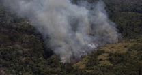O uso da IA em sistemas de monitoramento ambiental pode auxiliar na prevenção de desastres ambientais