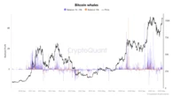  Spot Bitcoin ETF inflows fall, but BTC whale activity points to bull market acceleration 