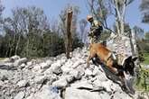 Avalan equipo canino de Cruz Roja en rescate de nivel pesado   