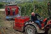 Italia gana el mundial de cata a ciegas de vinos realizado en Francia   