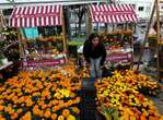 Flores para iluminar el camino de los difuntos   