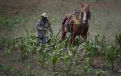 El campo, gran perdedor en tres décadas de T-MEC   