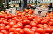 Cuota al jitomate no descarrilará la industria: FIRA   