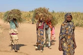 Sudaneses llegan a campamento de refugiados   
