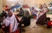 Alarmante avance de la malnutrición global: ONU   