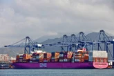 Crisis en la aduana de Manzanillo, hay retrasos  críticos y pérdidas millonarias: Canacar   