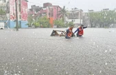 Se unen 21 universidades frente a la emergencia socioambiental   