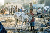 Israel tiene “mucha responsabilidad” por la crisis alimentaria en Gaza: EU   