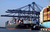 Gobierno e IP consultan a 30 sectores claves sobre el T-MEC   