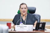 Pronostica el INE de 13 a 20% de participación en comicios del domingo   