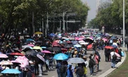 CNTE: fracaso de la elección judicial no será culpa nuestra    