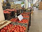 Aplica EU un arancel de 17.09% al jitomate mexicano; alega dumping   