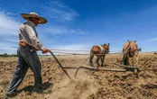 Inseguridad y corrupción, parte de la problemática en Zacatecas   