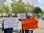 Conceden amparo a asociación civil en caso de crueldad animal   