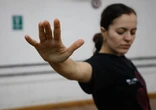 Gala Flamenca en el Palacio de Bellas Artes engrandece el “ser mexicano”    