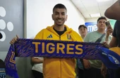 Refuerzo colchonero   