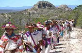 Violencia, pobreza y amenazas a sus sitios espirituales, problemas que enfrentan los wixaritari   