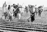 Carlos Fernández-Vega: México SA   