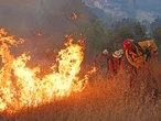 Arrasa incendio  2 mil hectáreas  en California en tan sólo 5 horas   