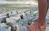 Plantean nuevo modelo de extracción de agua de riego   