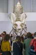 Celebración por los 15 años del centro Pompidou-Metz   