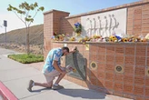 David Brooks: American curios   