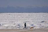 Tormentas y nieve  afectan a  estadunidenses   