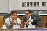 SG: el gobierno no busca controlar los órganos electorales   
