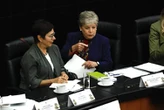 Pide Bárcena devolver 5.8 mil mdp a Semarnat para compensar recorte   