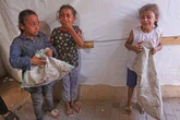 Especialistas de la ONU refutan el plan de Trump para la paz en Gaza   