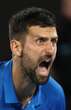 Novak Djokovic le pone colmillo y echa a Carlos Alcaraz   