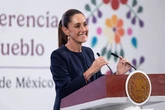 Enrique Galván Ochoa: dinero   