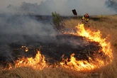 El calor multiplica los incendios forestales en Europa y la sequía en el lluvioso Reino Unido    