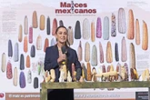 Anuncia Sheinbaum plan global para promover variedades nativas del maíz   