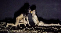 Una Eva y un Adán desafía en escena  la representación digital de la desnudez   