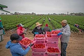 Carlos Fernández-Vega: México SA   
