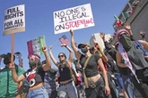 David Brooks: American curios   