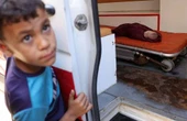 Usa Israel en Gaza escudos humanos, confirma oficial   