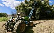 Productores y empacadores están coludidos en cloaca del aguacate   