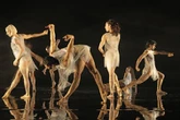 La edición 53 del Cervantino “romperá con los esquemas tradicionales”: Claudia Curiel   
