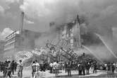 Muestra fotográfica refleja la tragedia y el despertar social tras el sismo del 85   