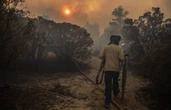 Incendios forestales destruyen 155 mil hectáreas al año   