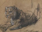 Rembrandt y la preservación de la vida silvestre   