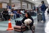 Recupera Profeco $277 mil para pasajeros afectados por lluvias   